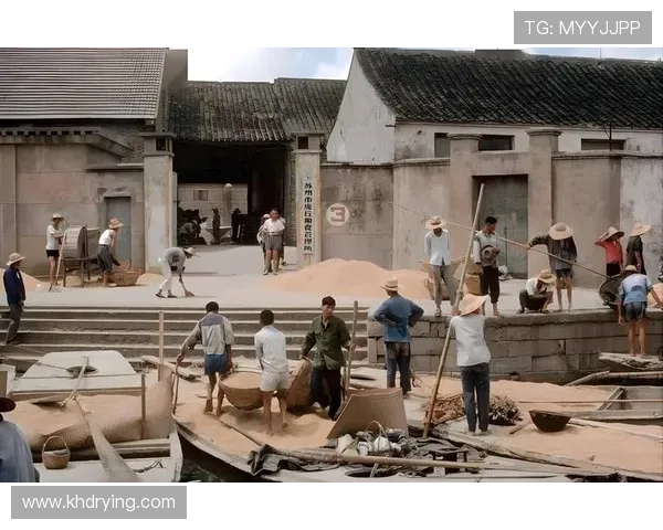 风再起时：时代洪流中的奋斗与情怀，一部不容错过的史诗巨制